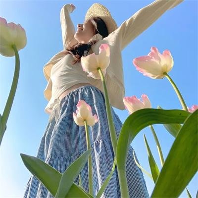 吉伯特拒蛋行动